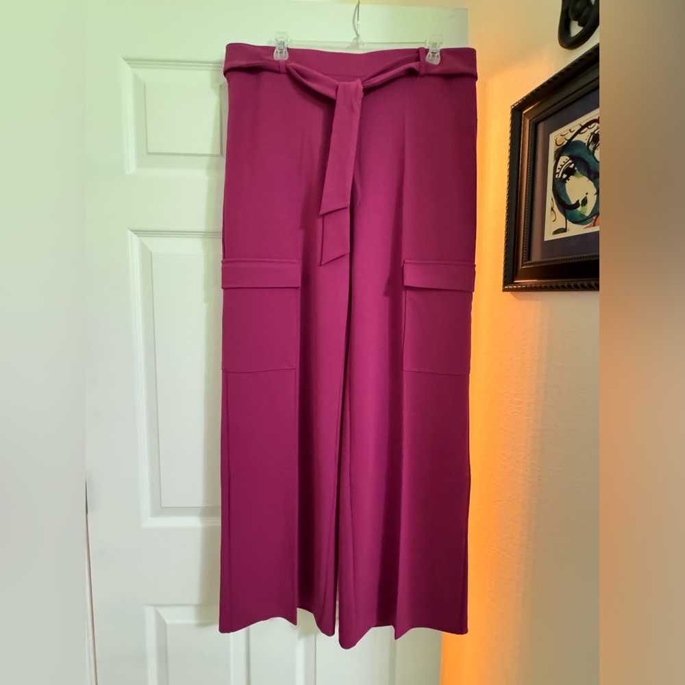 NWT pink dress cargo pants 12